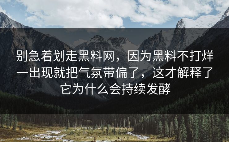 别急着划走黑料网,因为黑料不打烊一出现就把气氛带偏了,这才解释了它为什么会持续发酵 第1张 别急着划走黑料网,因为黑料不打烊一出现就把气氛带偏了,这才解释了它为什么会持续发酵 第1张