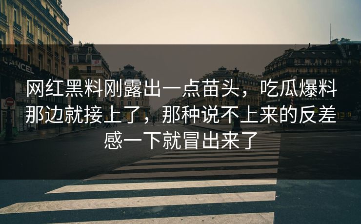 网红黑料刚露出一点苗头，吃瓜爆料那边就接上了，那种说不上来的反差感一下就冒出来了  第1张